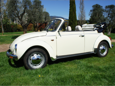 VW MAGGIOLONE -NOLEGGIO AUTO D’EPOCA -PISA TOSCANA